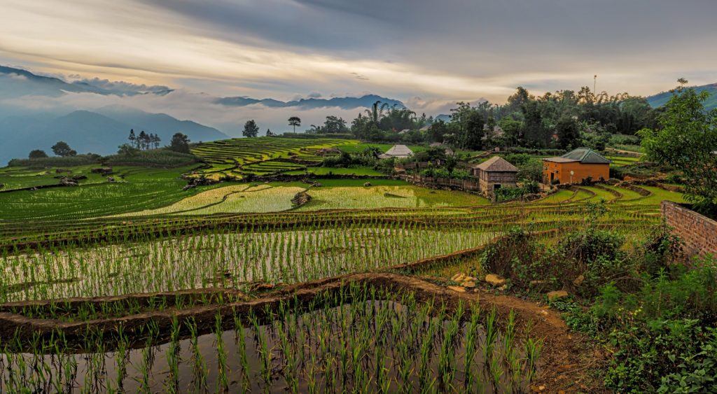 Learn the history of Vietnamese cuisine through Chef Rocky's menus for Cooked and Delivered for Open Kitchen Santa Fe weekly meal delivery Photo by Peter Hammer from Unsplash